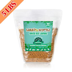 Dried Black Soldier Fly Larvae – High-Protein, Calcium-Rich Pet Treat