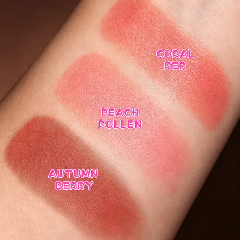 3 Color Blush Makeup Set with Mirror Compact Multi Color Face Makeup Kit