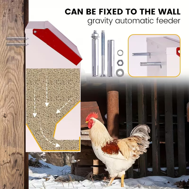 Automatic Wall-Mounted Chicken Feeder – Galvanized & Weatherproof