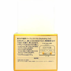 Gokujyun Hyaluronic Perfect Cream 100g Hydrating Daily Face Moisturizer