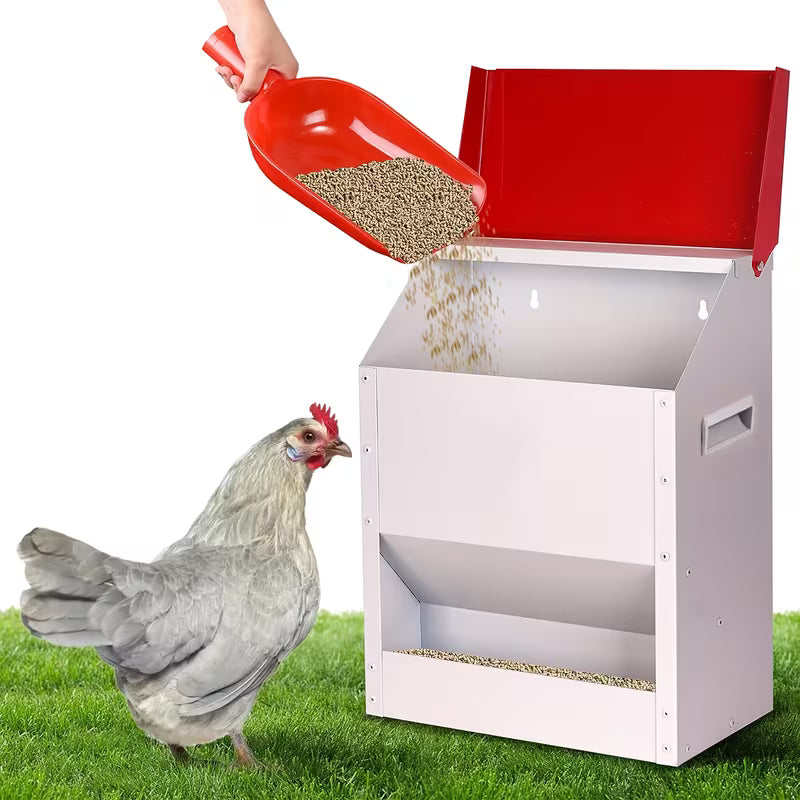 Automatic Wall-Mounted Chicken Feeder – Galvanized & Weatherproof