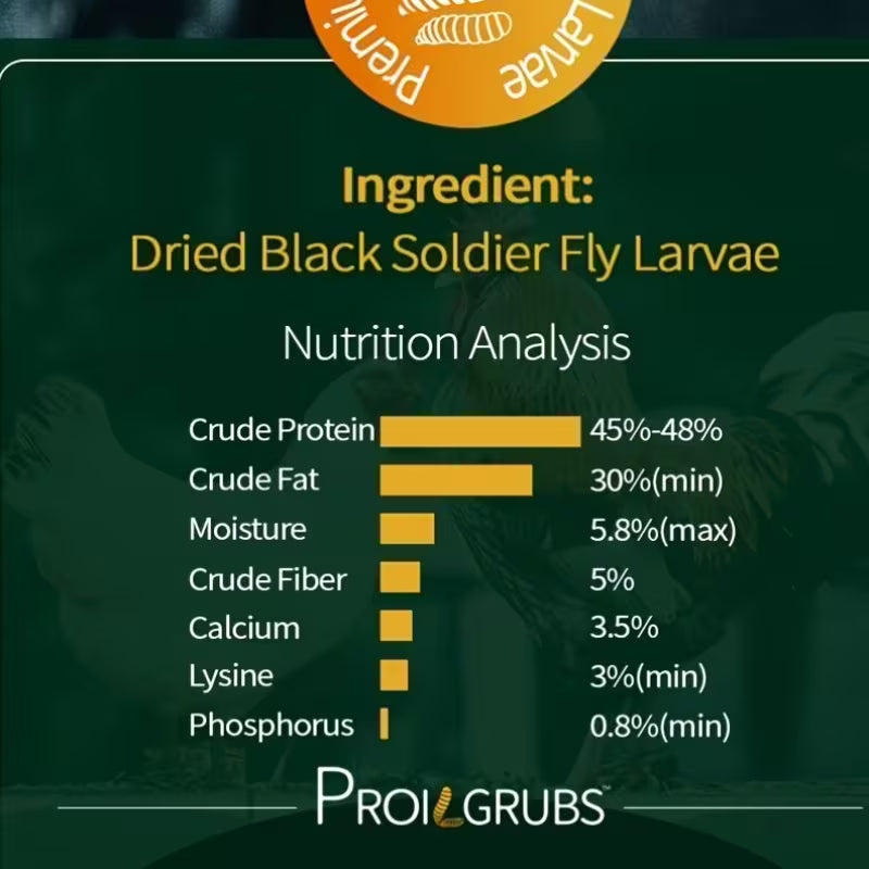 10LB Dried Black Soldier Fly Larvae – High-Protein Chicken Treats for Stronger Eggs & Feathers